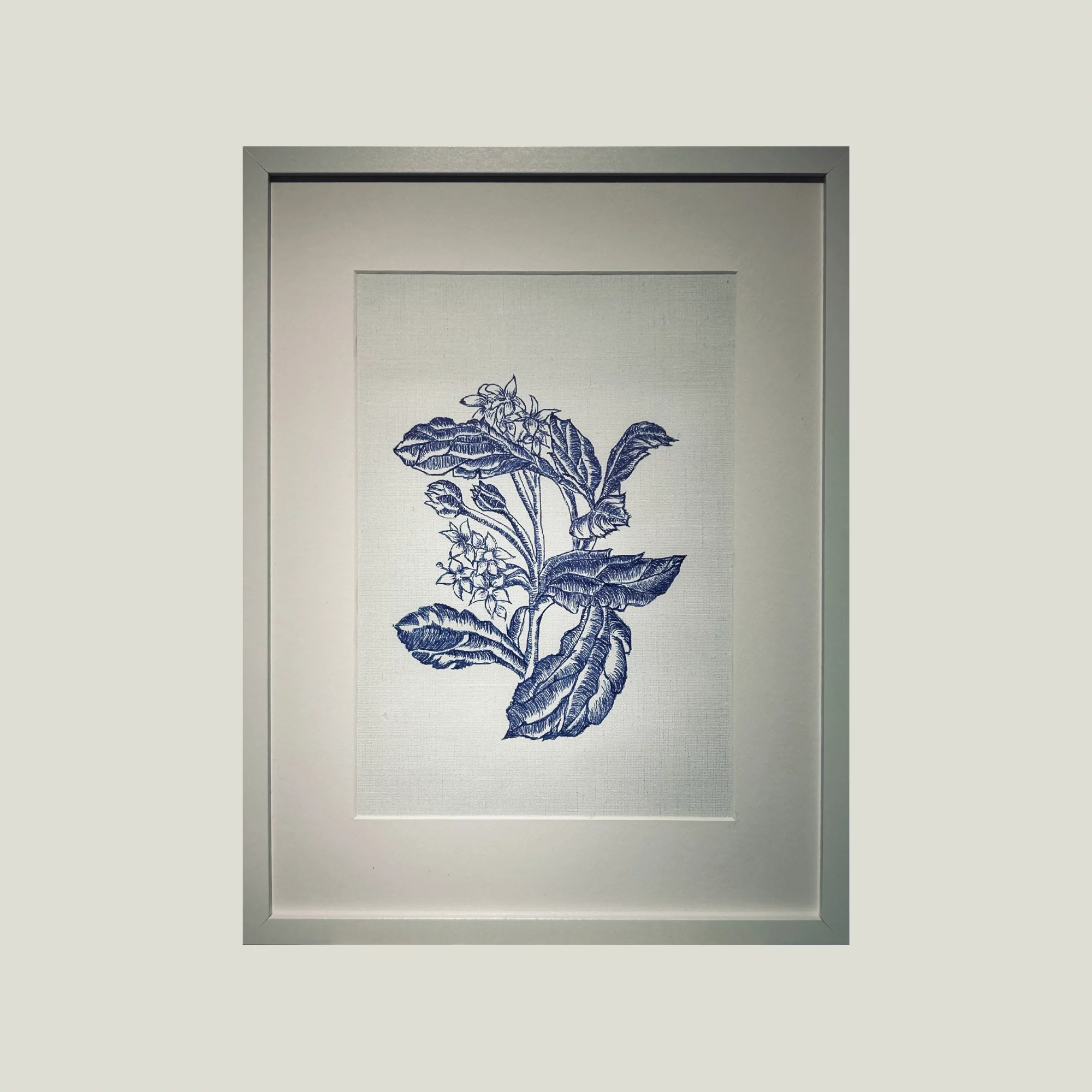 PAGE FOCUS PLANTS SITE