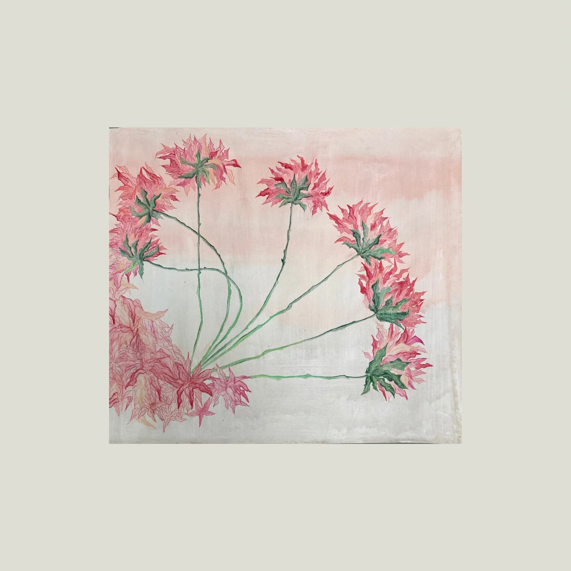 PAGE FOCUS SENSITIVE SITE