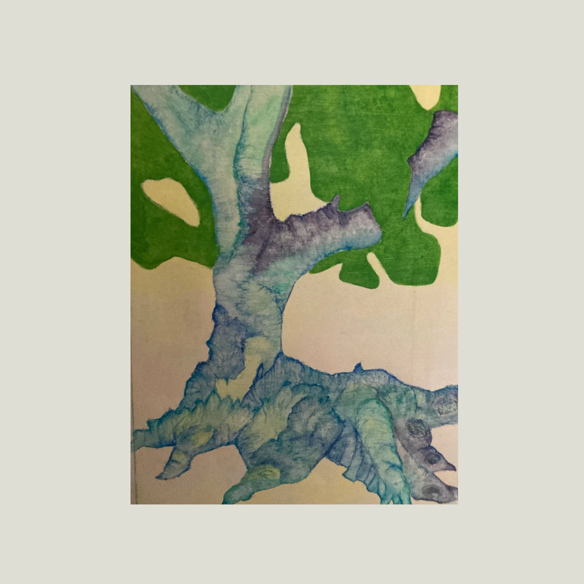 PAGE FOCUS TREE MEMORY SITE